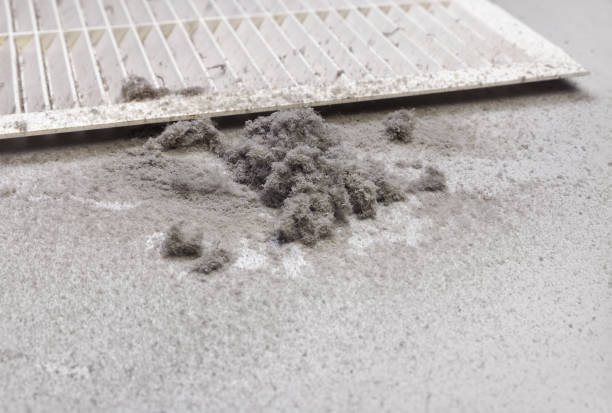 Best Affordable Duct Cleaning Services  in Mendenhall, MS