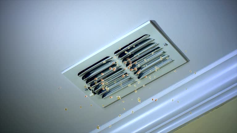 Best Commercial Air Duct Cleaning  in Mendenhall, MS
