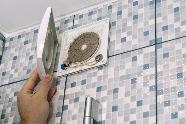 Best Local Air Duct Cleaning Services  in Mendenhall, MS