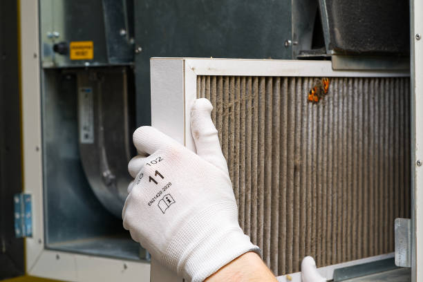 Best Ductwork Cleaning Services  in Mendenhall, MS